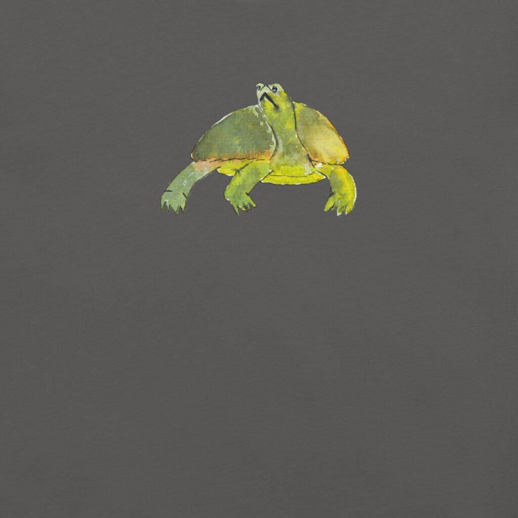 Introverted Turtle
