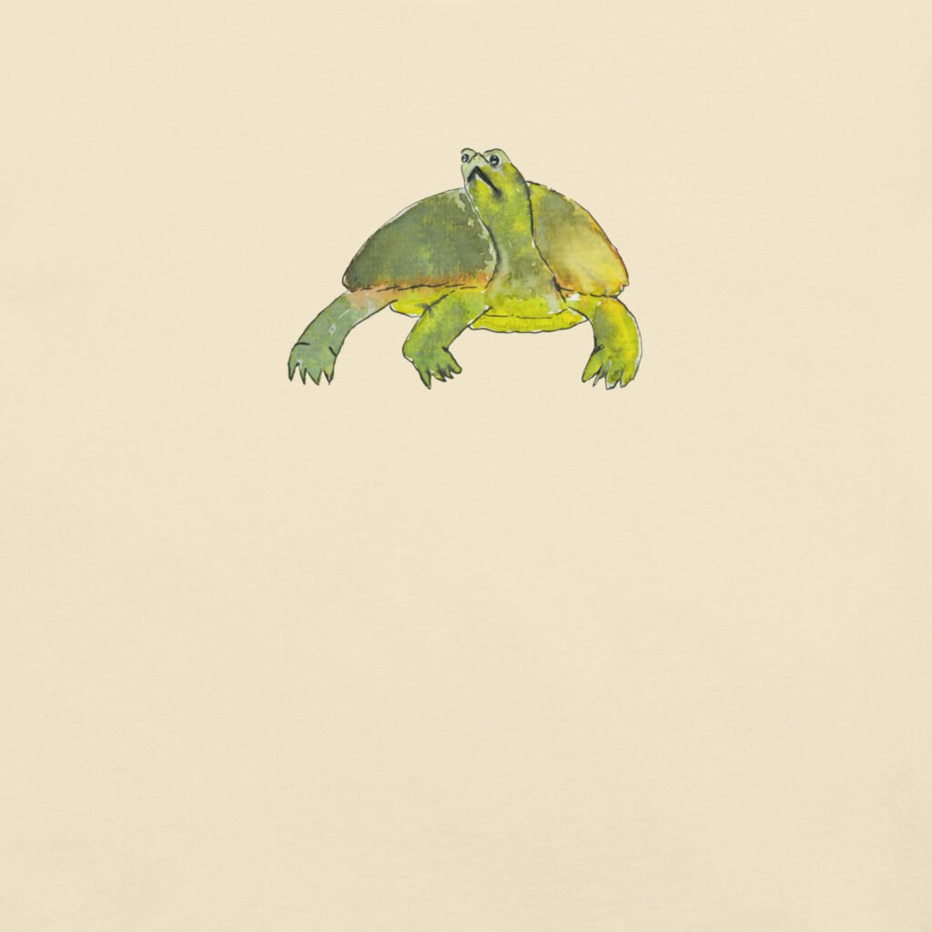 Introverted Turtle