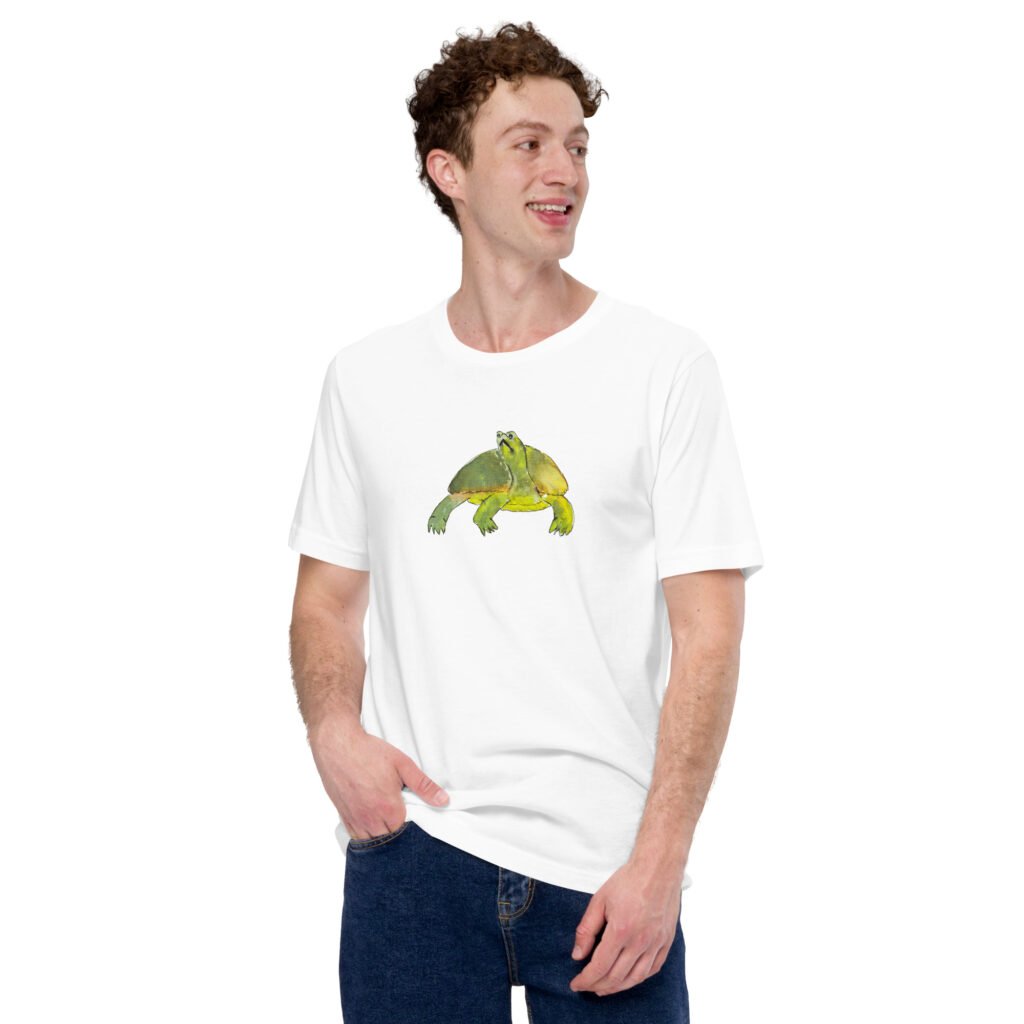 Introverted Turtle