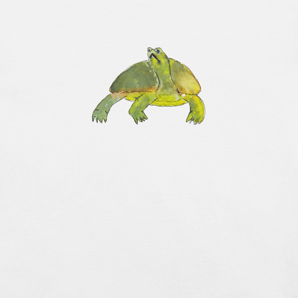 Introverted Turtle