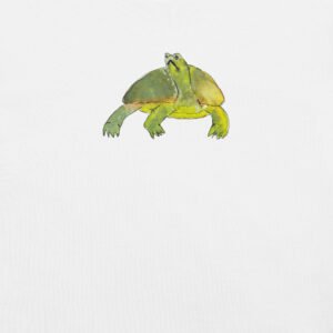 Introverted Turtle - Image 13