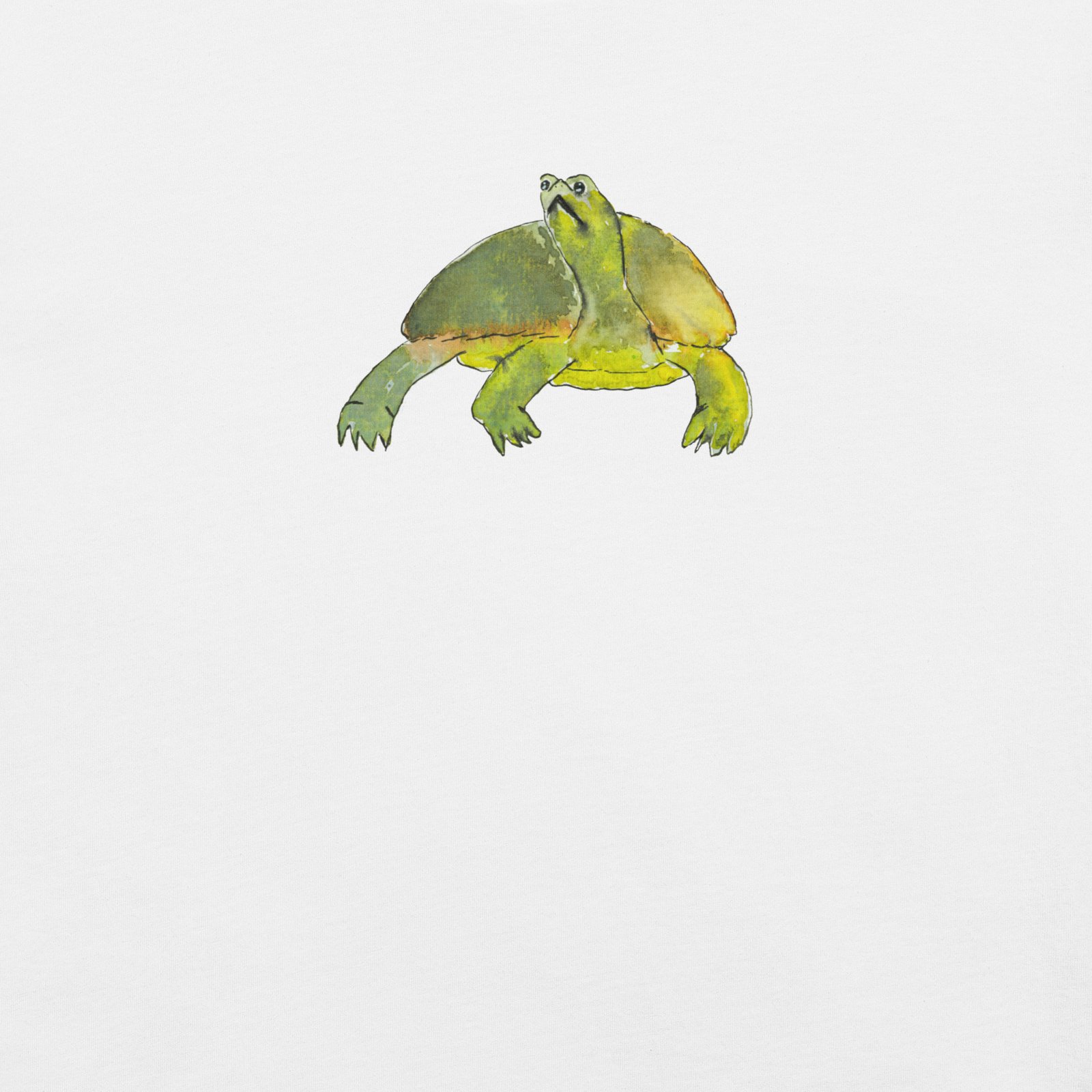 Introverted Turtle - Image 13