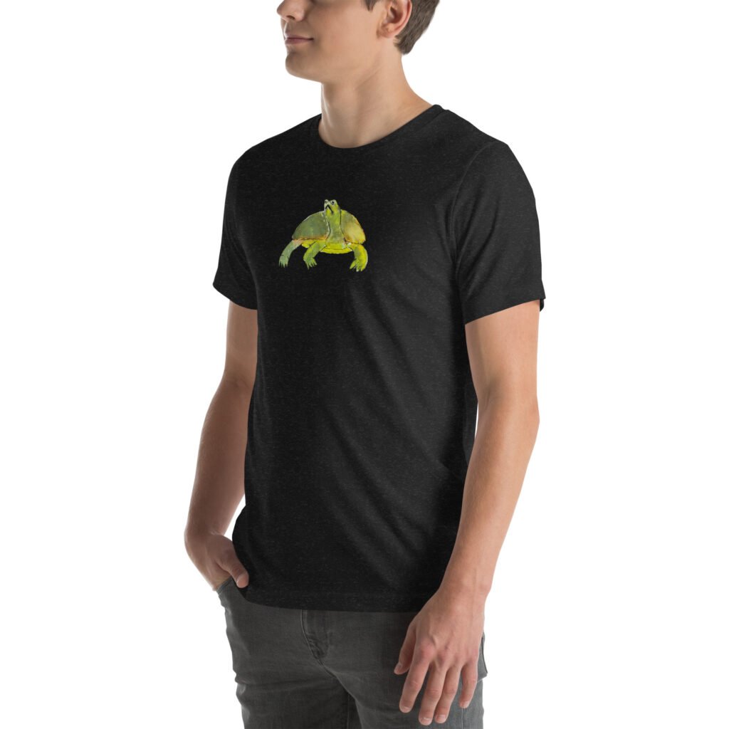 Introverted Turtle