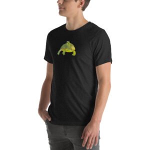 Introverted Turtle - Image 6
