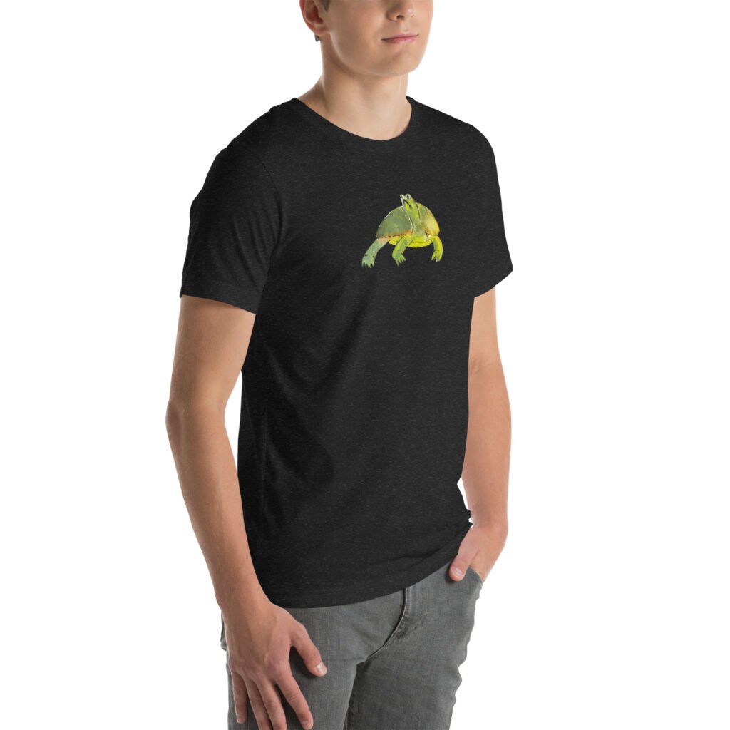 Introverted Turtle